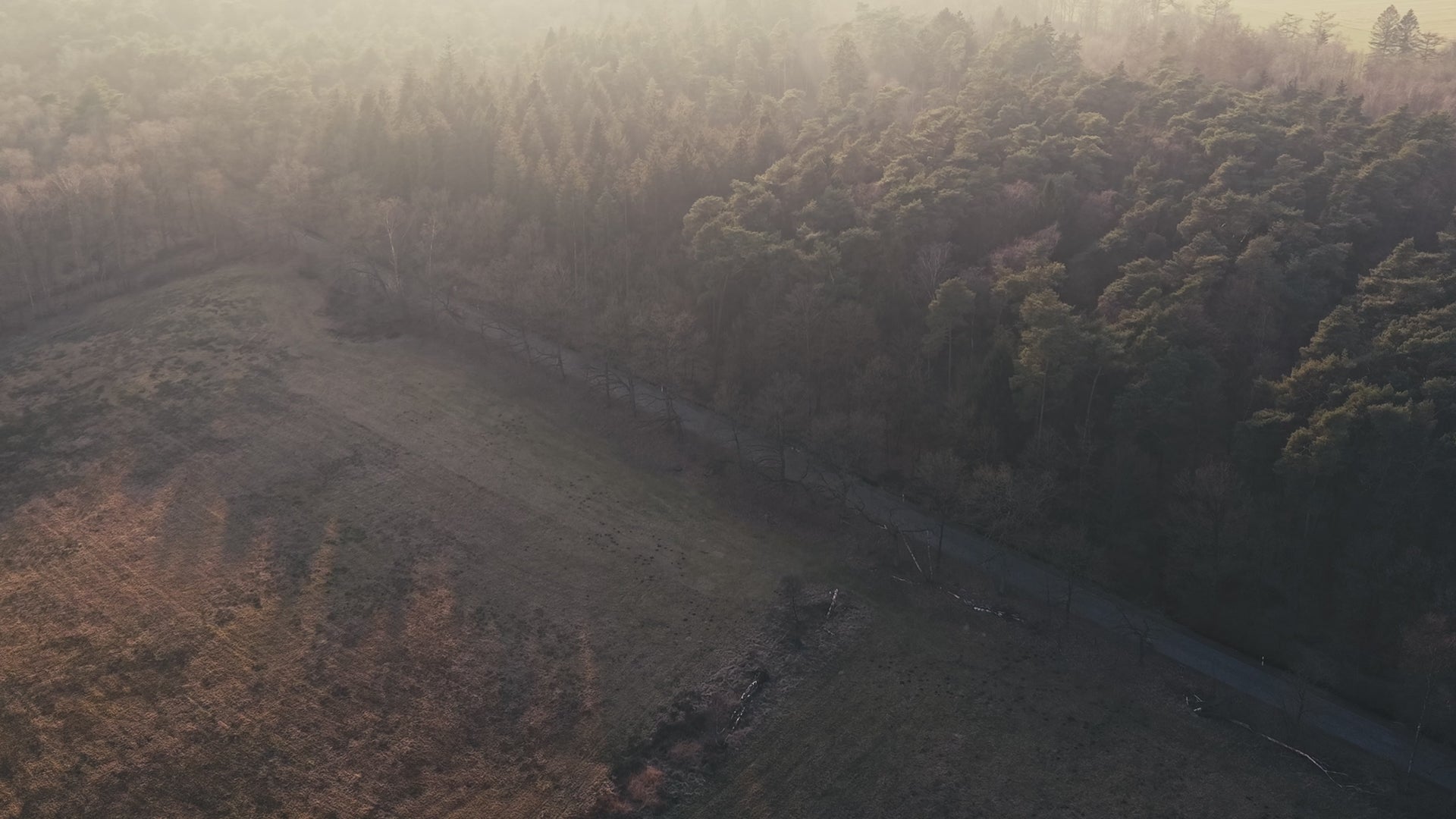 Load video: Luxuriöses Uhrenreiseetui TimeTraveller aus Aluminium von CWM Masterpieces